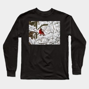 Winter Cardinal 3 Long Sleeve T-Shirt